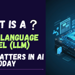 Large Language Model (LLM)